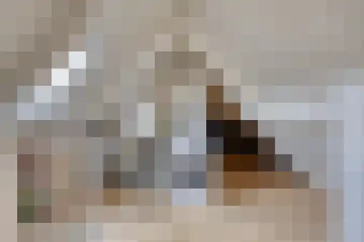 Saffier 6 Eindhoven thumbnail 31