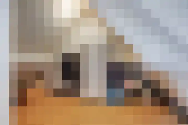 Saffier 6 Eindhoven thumbnail 32