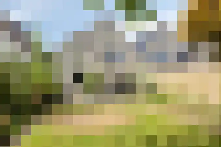 Saffier 6 Eindhoven thumbnail 33