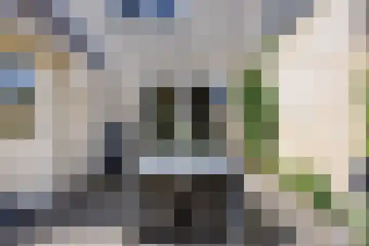 Saffier 6 Eindhoven thumbnail 34