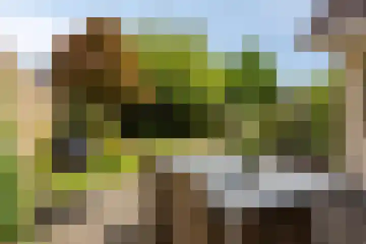 Saffier 6 Eindhoven thumbnail 35