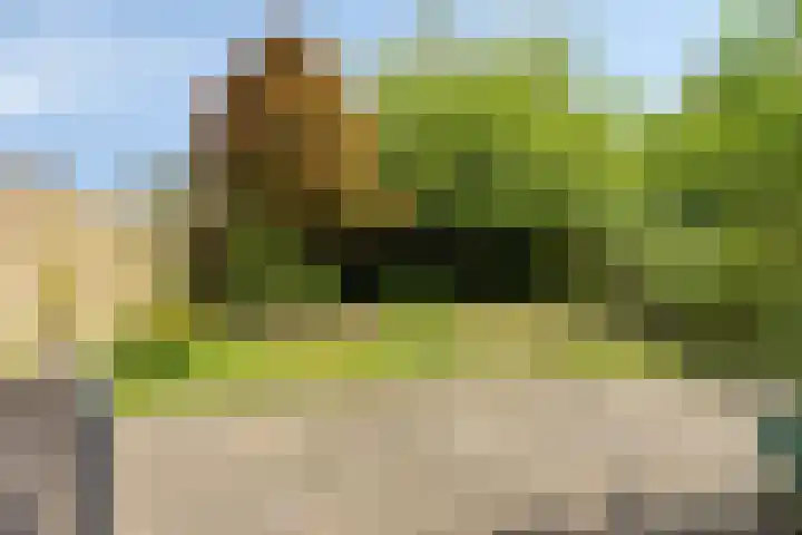 Saffier 6 Eindhoven thumbnail 36