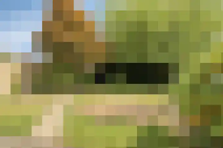 Saffier 6 Eindhoven thumbnail 37