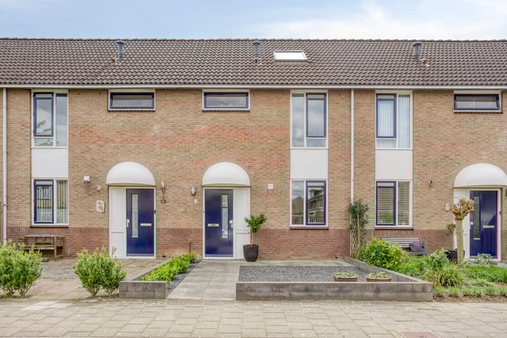 Saffier 8 in Duiven foto