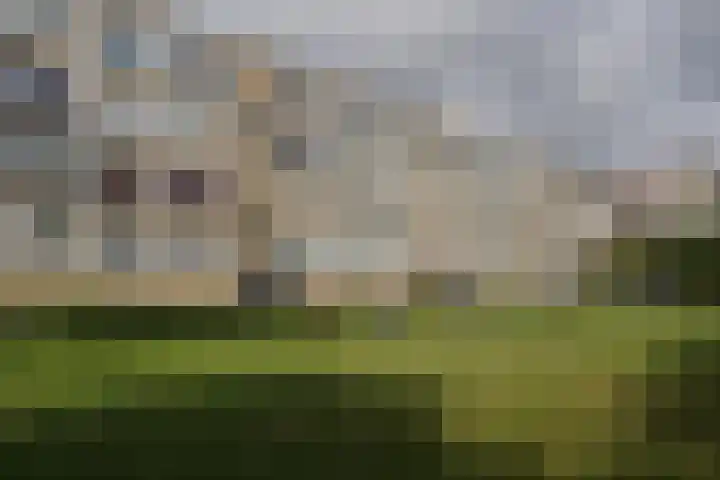 Saffierhorst 190 Den Haag thumbnail 27
