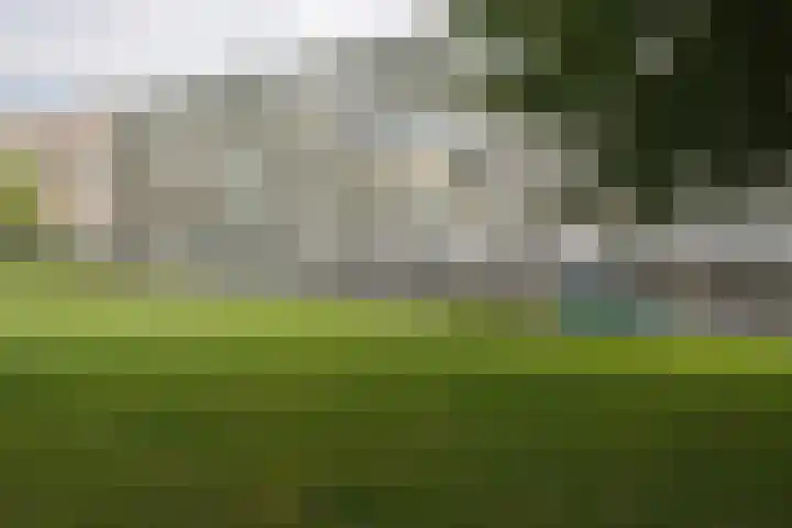 Saffierhorst 190 Den Haag thumbnail 29