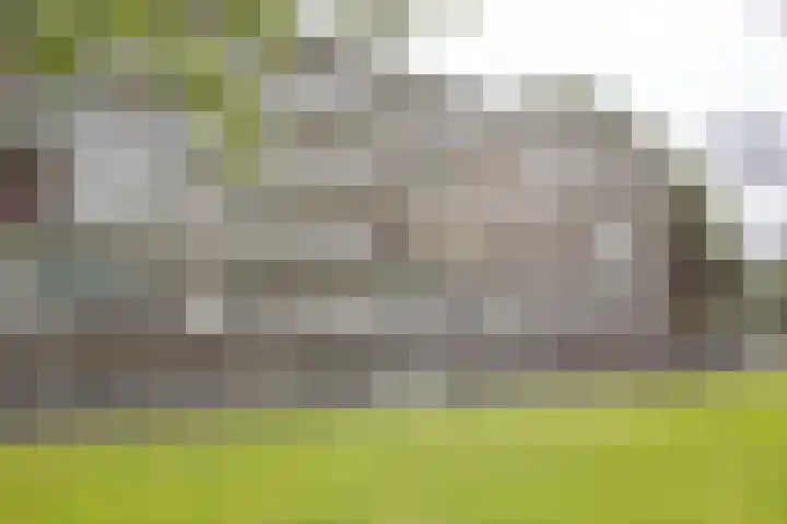 Saffierhorst 190 Den Haag thumbnail 30