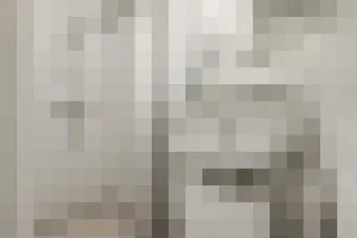 Saffierhorst 20 Den Haag thumbnail 19