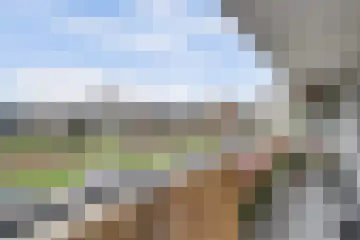 Saffierhorst 20 Den Haag thumbnail 20