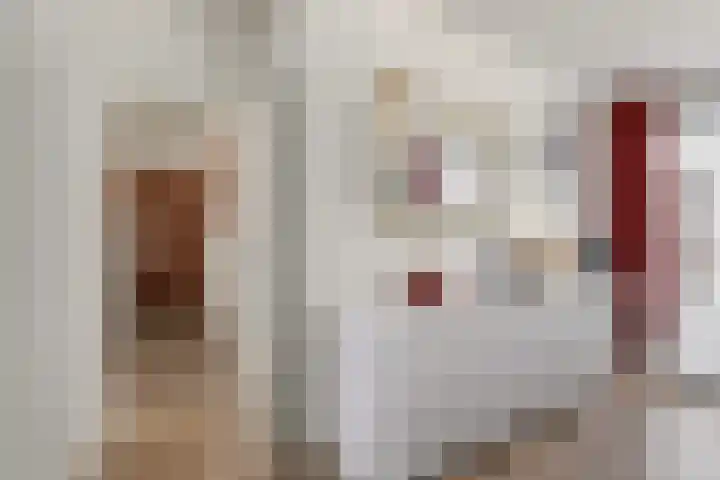 Saffierhorst 20 Den Haag thumbnail 8