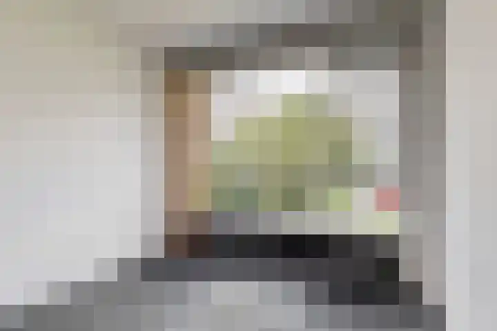 Saffierhorst 310 Den Haag thumbnail 13