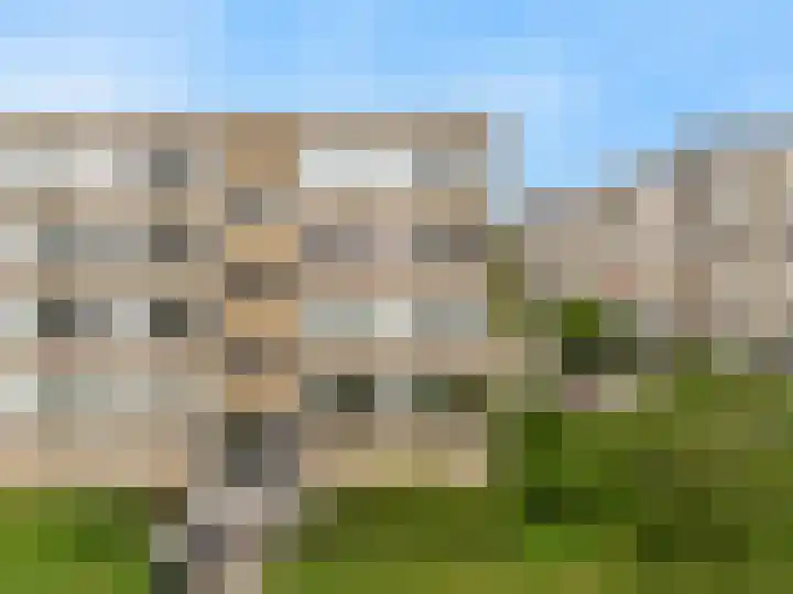 Saffierhorst 310 Den Haag thumbnail 32