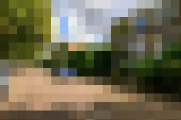Saffierhorst 59 Den Haag thumbnail 36