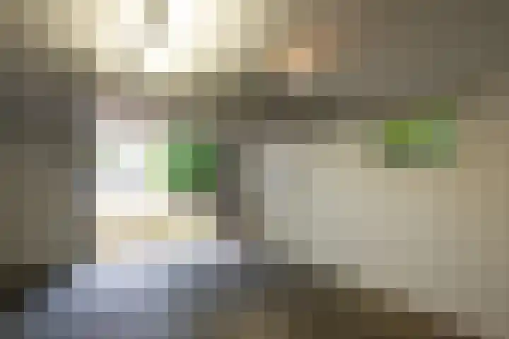 Saffierhorst 59 Den Haag thumbnail 5
