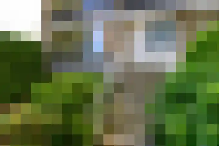 Saffierhorst 59 Den Haag thumbnail 7