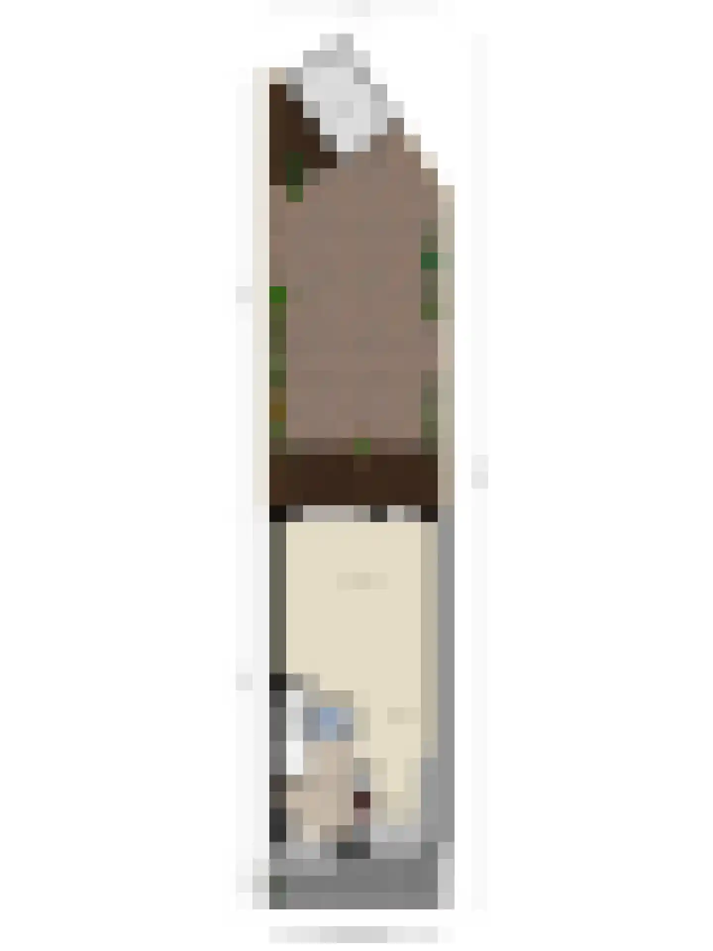 Saffierlaan 118 Rhoon thumbnail 33