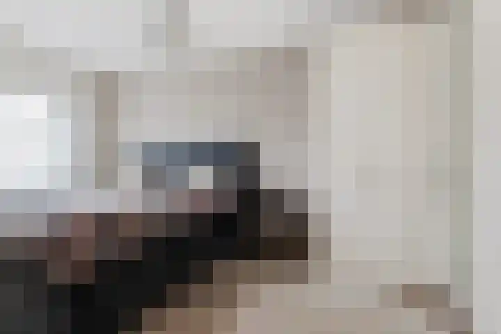 Saffierlaan 84 Rhoon thumbnail 20