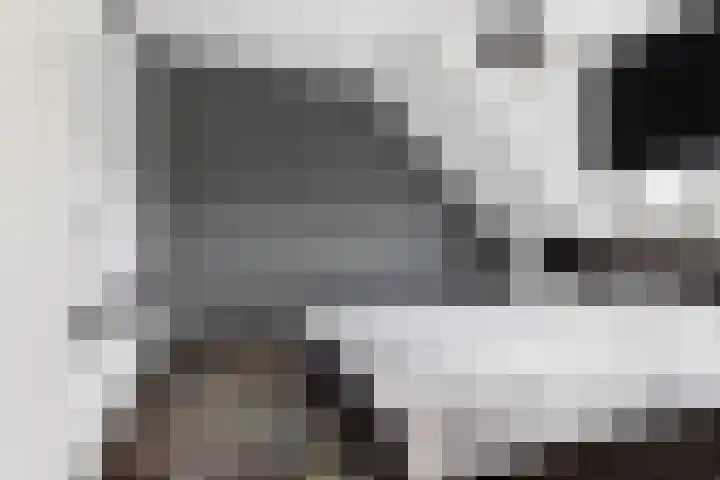 Saffierlaan 84 Rhoon thumbnail 30