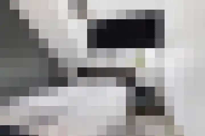 Saffierlaan 84 Rhoon thumbnail 31