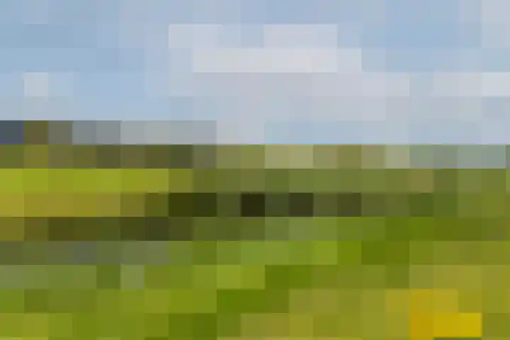 Saffierlaan 84 Rhoon thumbnail 39