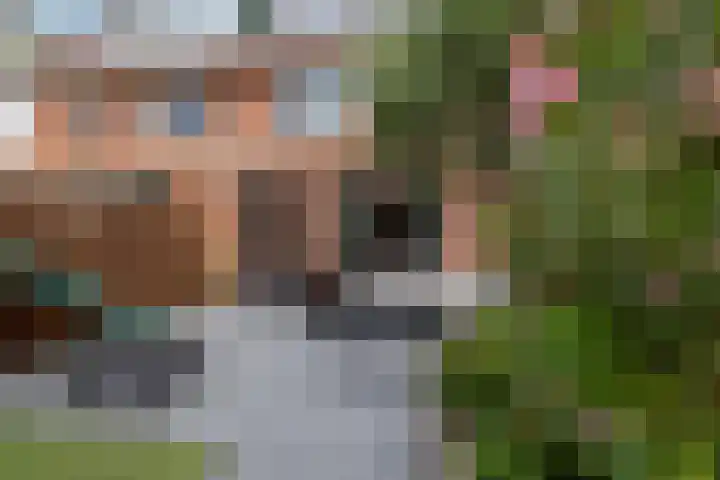 Saffierlaan 84 Rhoon thumbnail 5