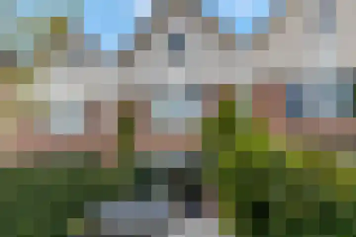 Saffierstraat 38 Ede thumbnail 28