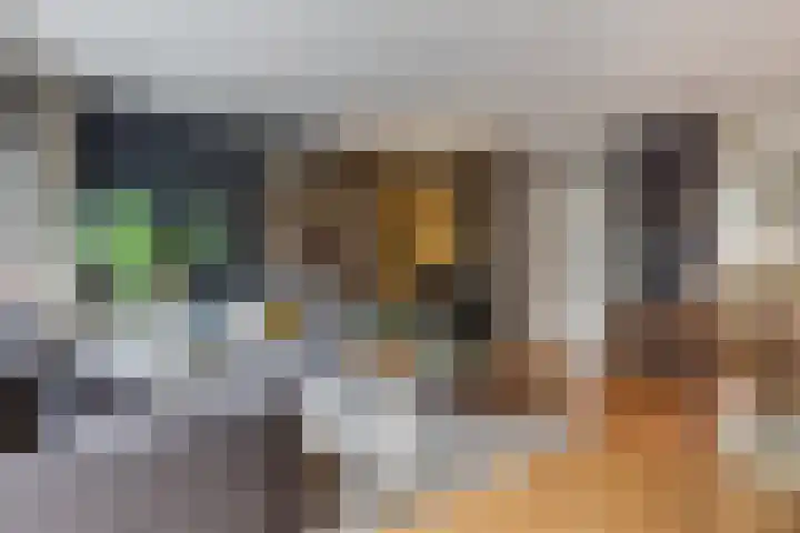 Saffierstraat 38 Ede foto 3