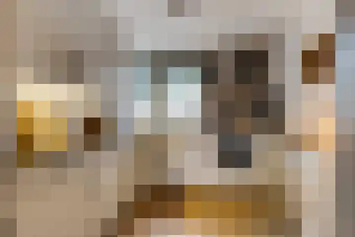 Saffierstraat 38 Ede thumbnail 9