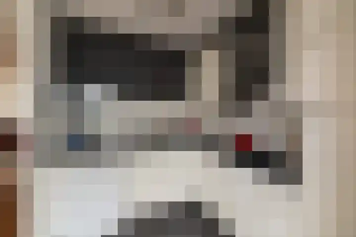 Saffraan 3 Raalte thumbnail 12