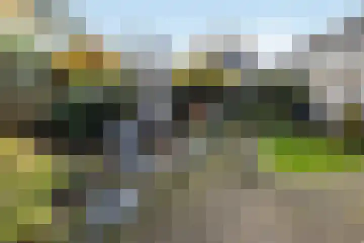 Saffraan 3 Raalte thumbnail 25