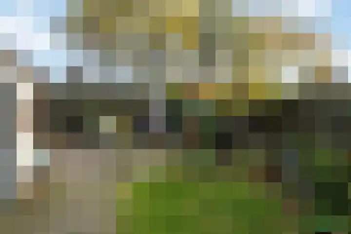 Saffraan 3 Raalte thumbnail 28