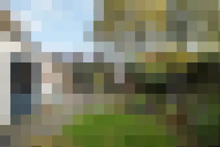Saffraan 3 Raalte thumbnail 29