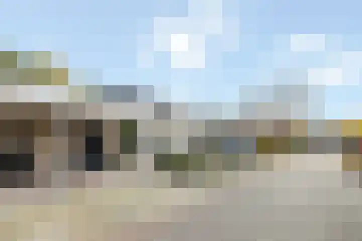 Saffraan 3 Raalte foto 3