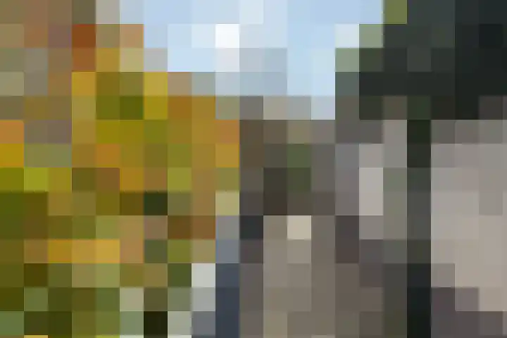 Saffraan 3 Raalte thumbnail 32