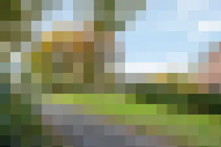 Saffraan 3 Raalte thumbnail 35