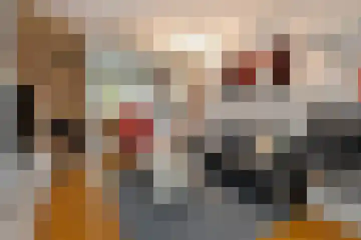 Saffraan 9 Raalte thumbnail 10