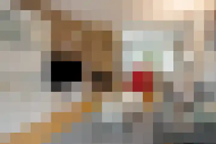 Saffraan 9 Raalte thumbnail 11