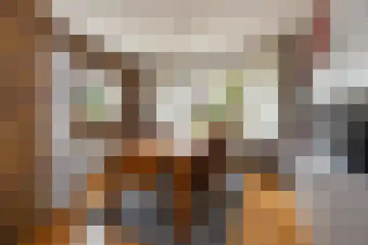 Saffraan 9 Raalte thumbnail 12