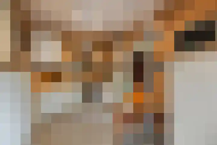 Saffraan 9 Raalte thumbnail 15
