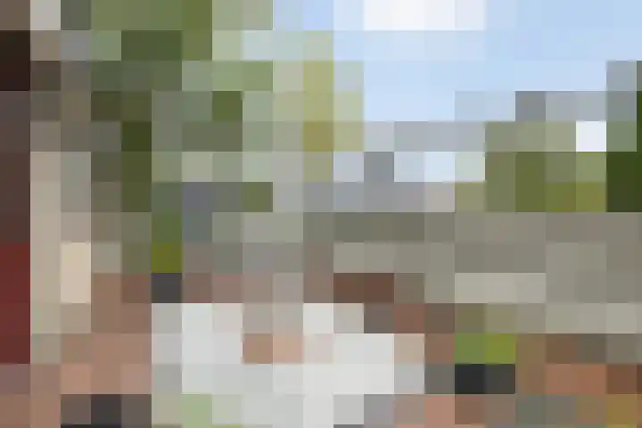 Saffraan 9 Raalte thumbnail 21