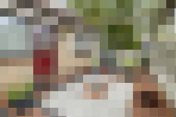 Saffraan 9 Raalte thumbnail 22