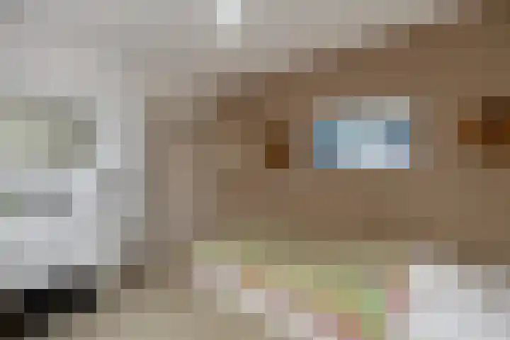 Saffraan 9 Raalte thumbnail 25