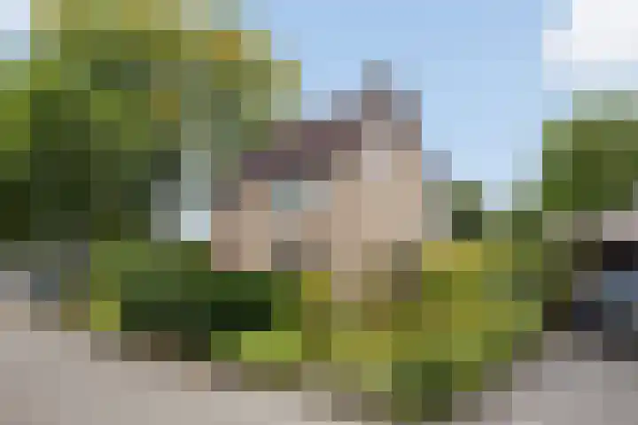 Saffraan 9 Raalte thumbnail 4