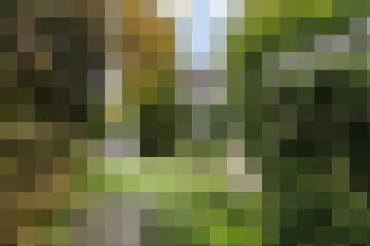 Saffraan 9 Raalte thumbnail 40