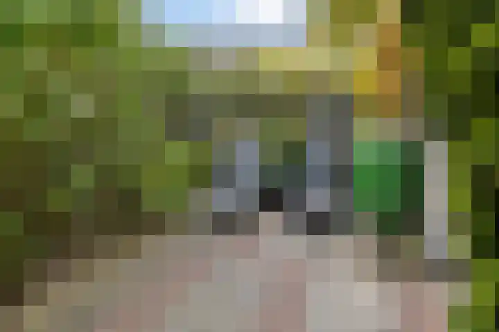 Saffraan 9 Raalte thumbnail 41