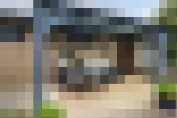 Saffraan 9 Raalte thumbnail 42
