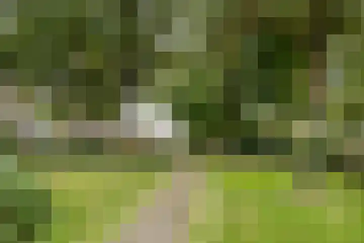 Saffraan 9 Raalte thumbnail 45