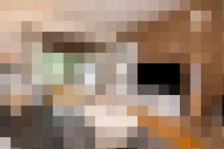Saffraan 9 Raalte thumbnail 9