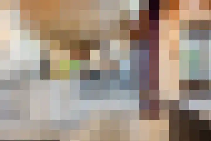 Saffraantuin 6 Leiden thumbnail 10