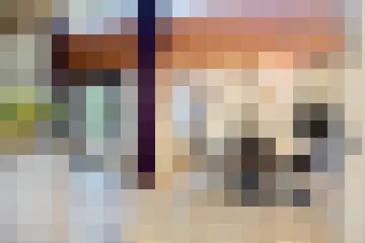 Saffraantuin 6 Leiden thumbnail 11